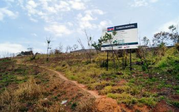 LARA TOLEDO/01-10-14 Área do Verbo Divino que deveria estar reflorestada na Zona Norte tem apenas restos de vegetação que sobraram das queimadas