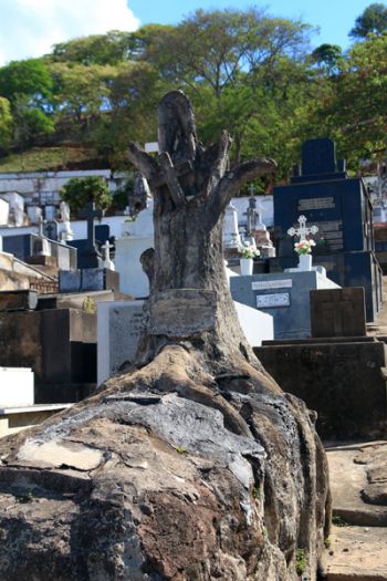 Cemitério Municipal faz 150 anos 4 Escultura de árvore chama atenção