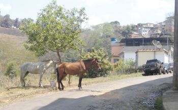 ANDRÉ SANTOS Moradores do Cruzeiro do Sul e do Graminha reclamam de transtornos