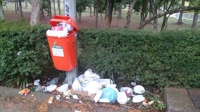 Greve deve adiar matrícula na UFJF 4 No anel viário, cresce o mau cheiro com o lixo espalhado