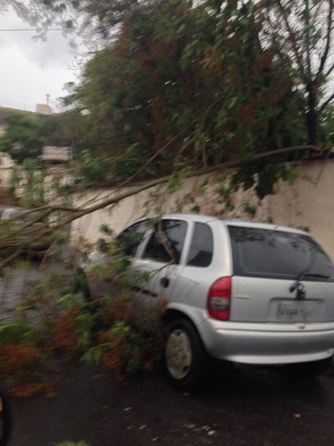 Na rua Laurindo Nocelli, no bairro Bandeirantes, também foi registrada uma queda de árvore, desta vez, atingindo um carroque estava esacionado. (Foto: Eric Neris)
