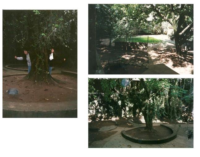 (Fotos: Flávia Farany/ arquivo pessoal)