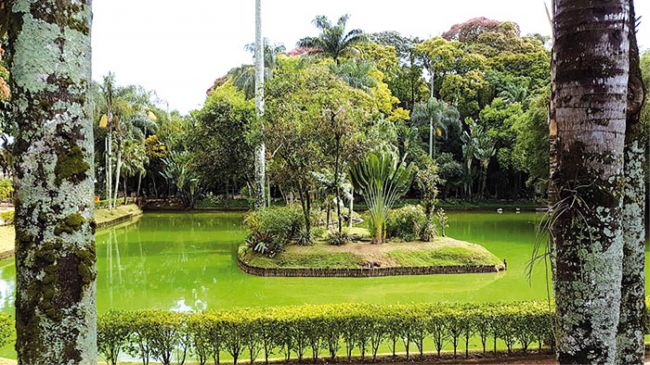 Lago do Museu esverdeado 2 582500a1b2551